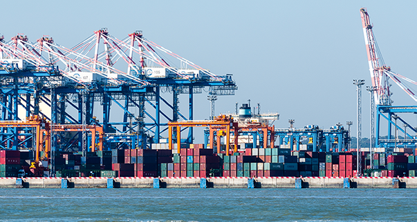 wm视讯案例 | 助力智慧港口建设，实现“车享其行，物优其流”